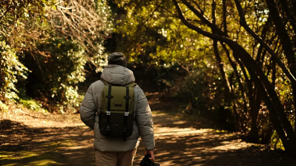 Critical thinker walking away from high-tech campus toward open nature trail