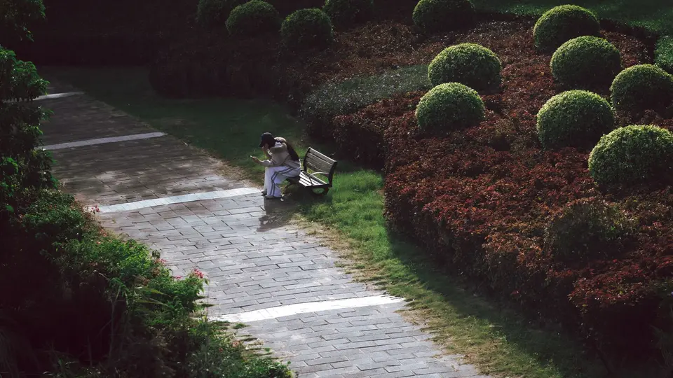 Peaceful scholar walking through serene courtyard garden in deep contemplation